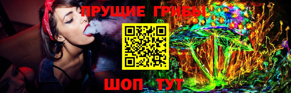Псилоцибиновые грибы MAGIC MUSHROOMS  Псилоцибиновые грибы мухоморы  даркнет сайт  Гусь-Хрустальный  Вход с VPN 